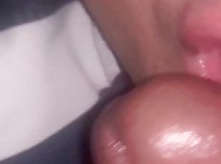 nocturnal cock swallowing