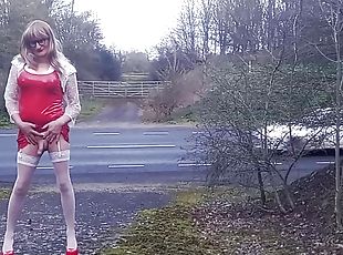Tranny Gina Playing by The Roadside
